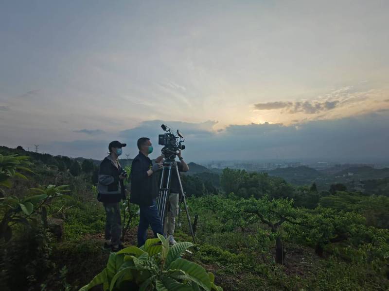 创意破圈！润州区电商产品宣传视频用故事化叙事引爆流量