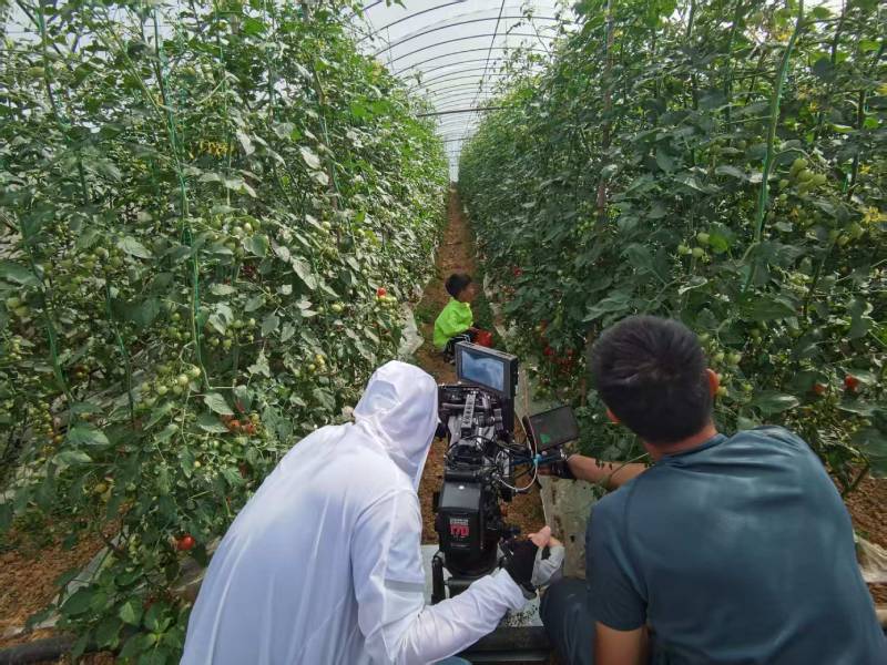 润州区产品宣传视频拍摄公司进阶指南，助力品牌抢占传播高地